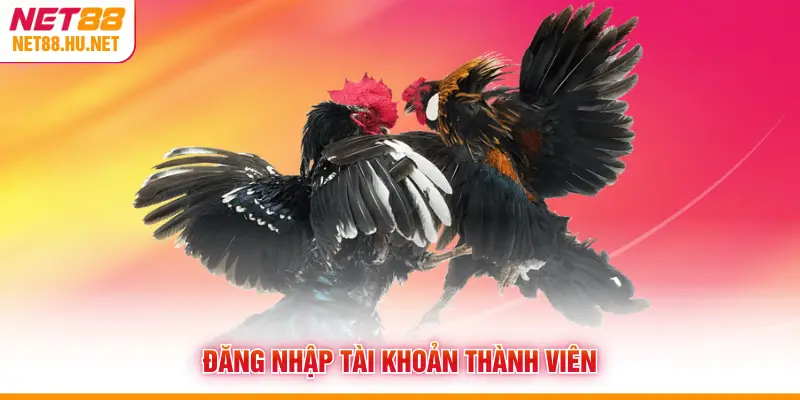 Đăng nhập tài khoản thành viên