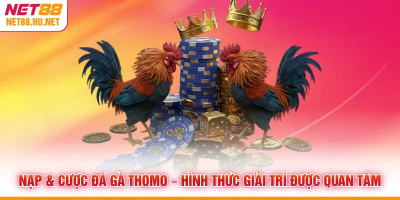 Nạp & Cược Đá Gà Thomo – Hình Thức Giải Trí Được Quan Tâm