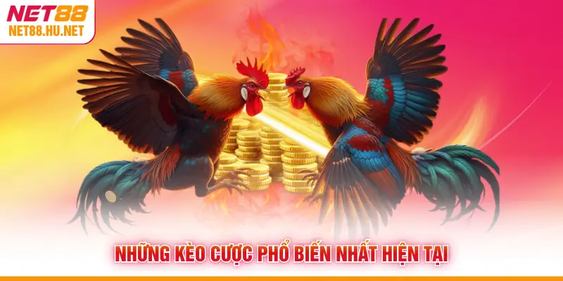Những kèo cược phổ biến nhất hiện tại